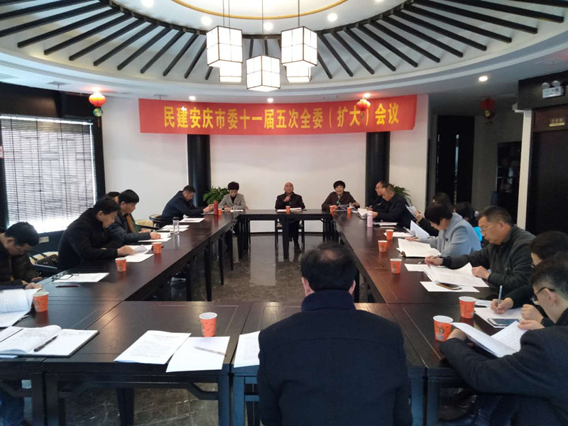 民建安庆市委十一届五次全委（扩大）会议召开