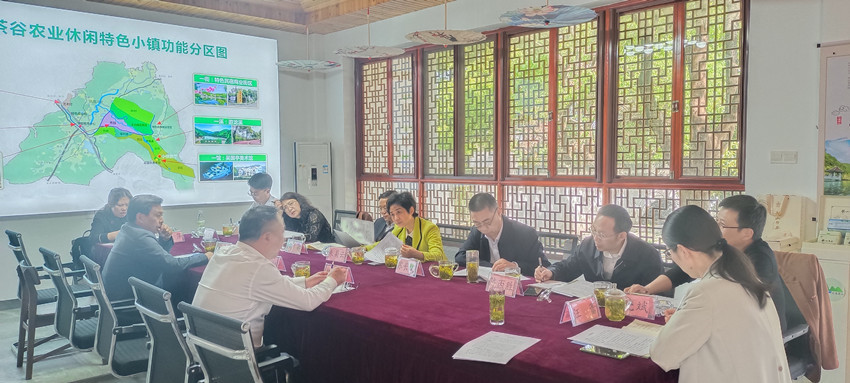 民建安庆市委联合市人大科教文卫工委、宗侨外工委赴五横乡杨亭村开展乡村振兴调研
