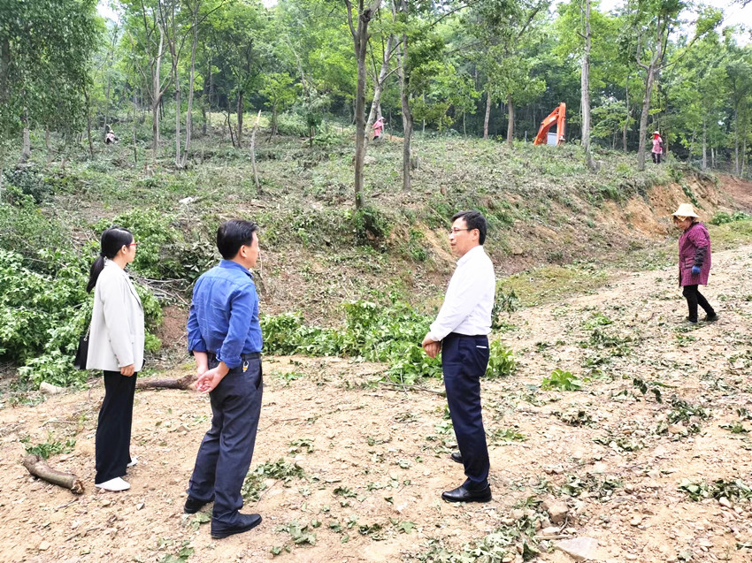 民建安庆市委会赴五横乡杨亭村开展乡村振兴帮扶工作