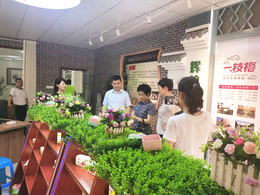 朱菊云带队调研安庆市（民建）企联会理事企业
