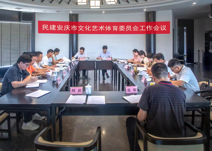 民建安庆市委文化艺术体育委员会召开工作会议