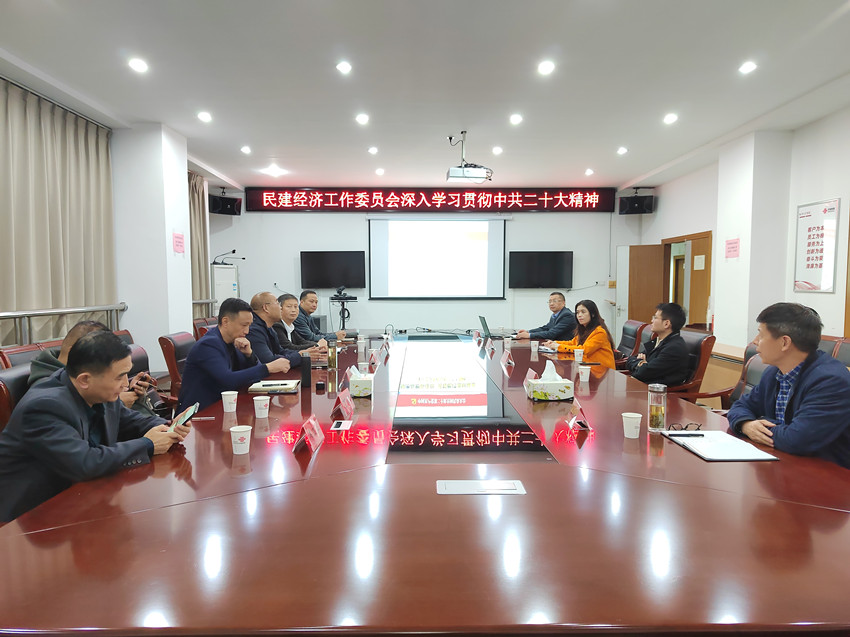 民建安庆市经济委组织召开中共二十大报告专题学习会