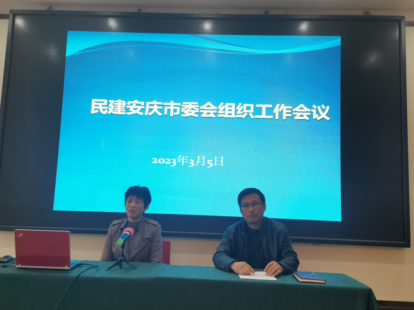 民建安庆市委会召开组织工作培训会议
