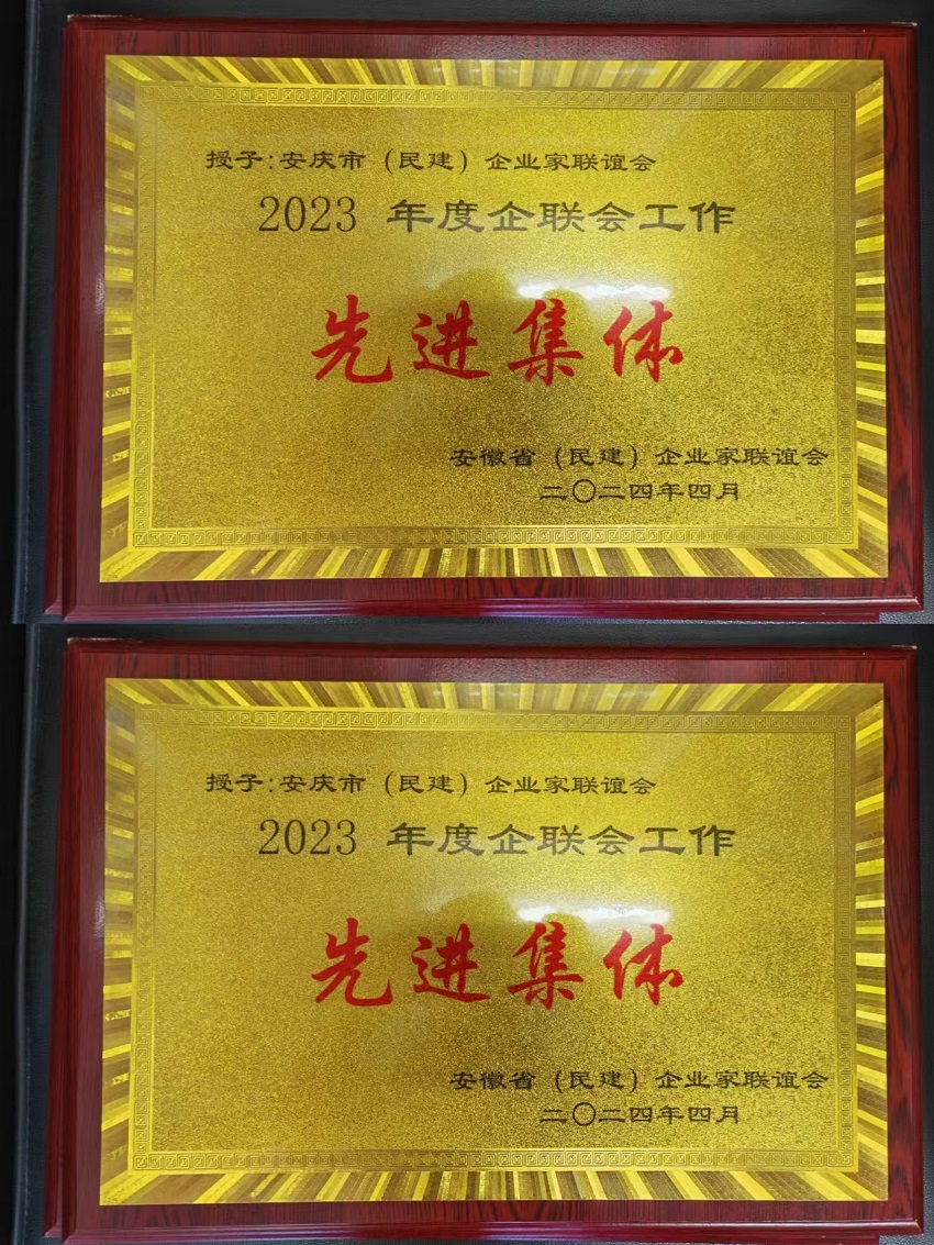 安庆民建企联会荣获安徽省民建企联会多项表彰